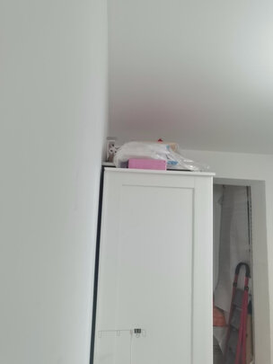 猫粮