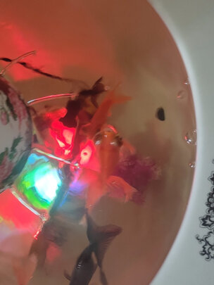 鱼缸硝化细菌