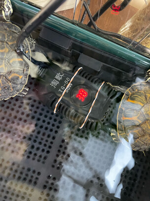 鱼缸加热棒