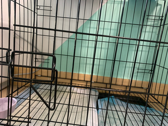  狗笼