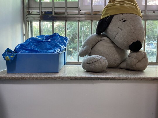 乳胶漆|立邦小王子儿童漆1L乳胶漆到底怎么样，参数如何！