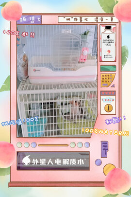  狗笼