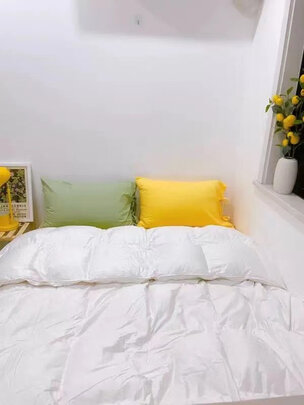 源生活源生活鹅绒被一个月后开始后悔了诉说原因