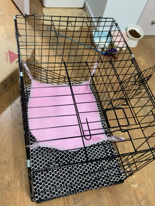  猫笼