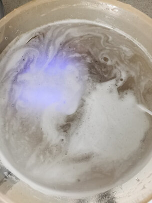 果蔬净化清洗机