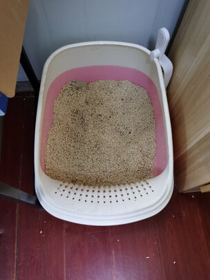 豆腐猫砂