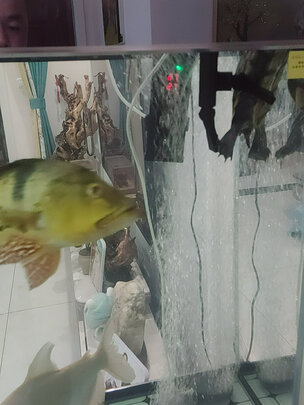 鱼缸加热棒