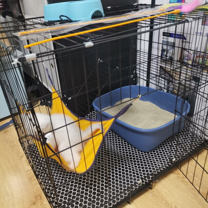  猫笼