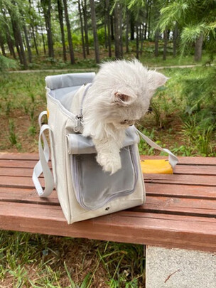 猫包