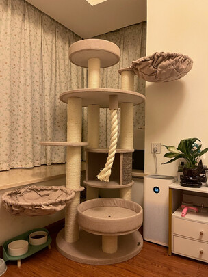猫爬架