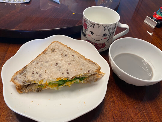 九阳L18-Y66极度喜欢感受反馈