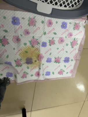 宠物尿垫