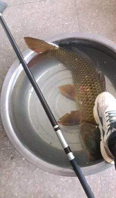 溪流竿