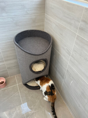 猫爬架