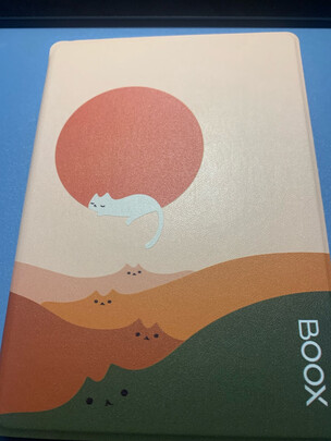 电纸书