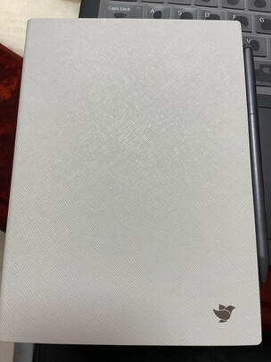 电纸书