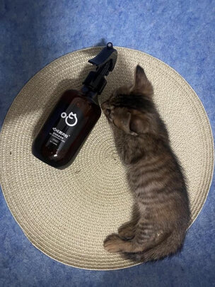 狗狗除臭剂
