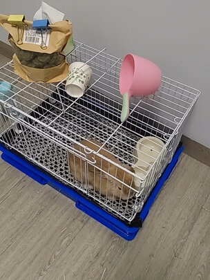 兔笼子