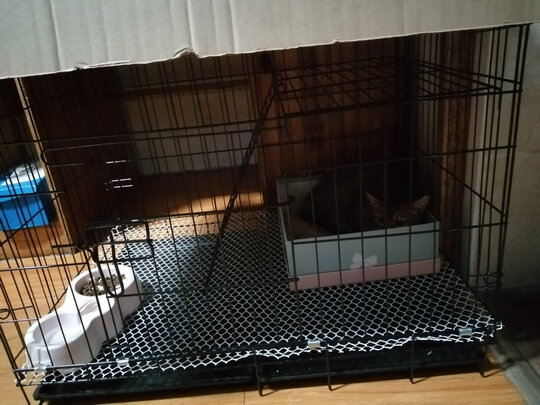  猫笼