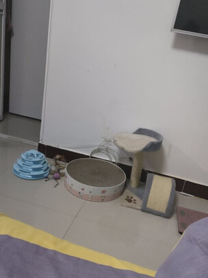 猫窝