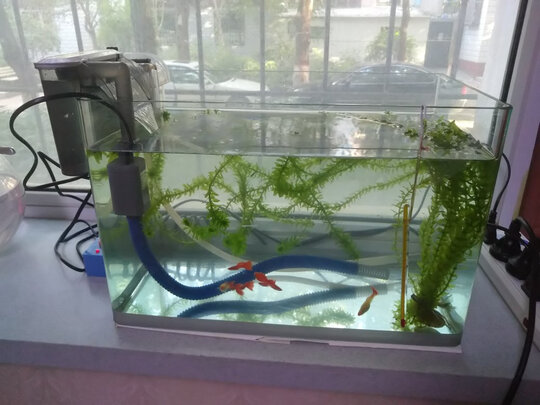 鱼缸过滤器