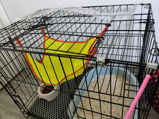 猫砂盆