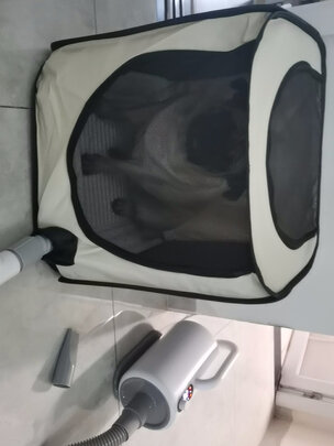 宠物烘干箱