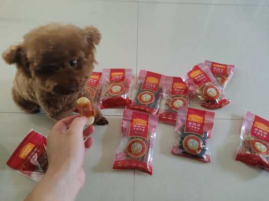 狗狗零食