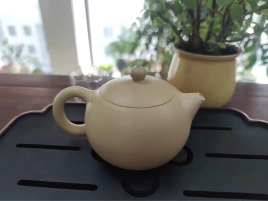 藏壶天下本山绿泥西施（前车之鉴）有必要告诉大家真相