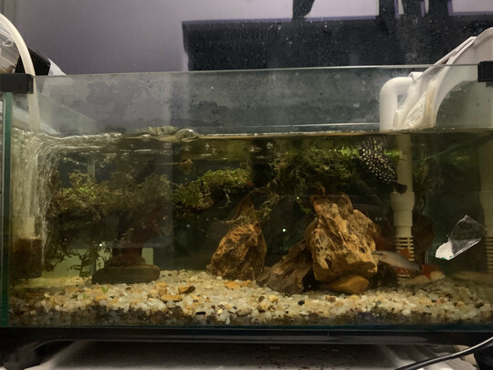 鱼缸过滤器