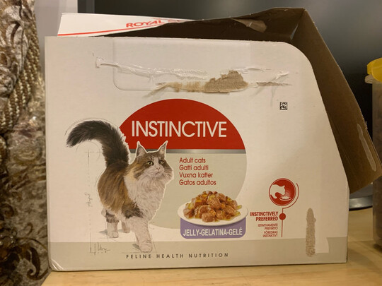 猫粮罐头