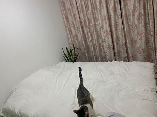 源生活源生活鹅绒被一个月后开始后悔了诉说原因