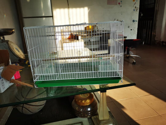 鸟笼
