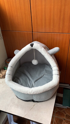 猫窝