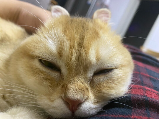 宠物饮水机