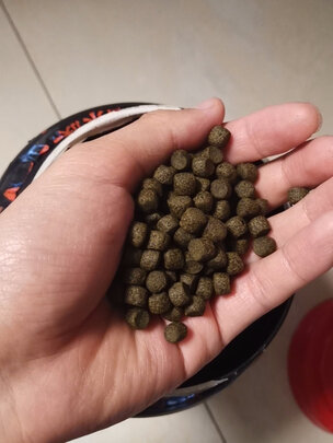 鱼粮