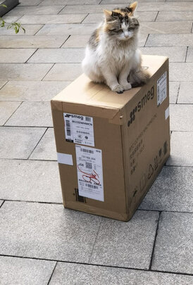 SMEGBCC02咖啡机|SMEGBCC02咖啡机如何,值得入手的原因分享！