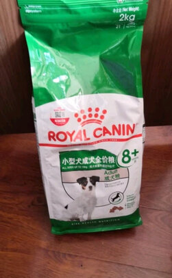 狗粮