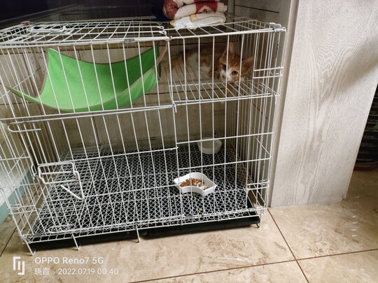  猫笼