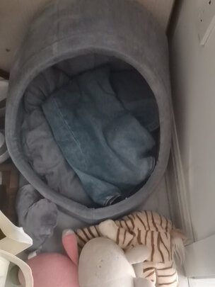 猫窝