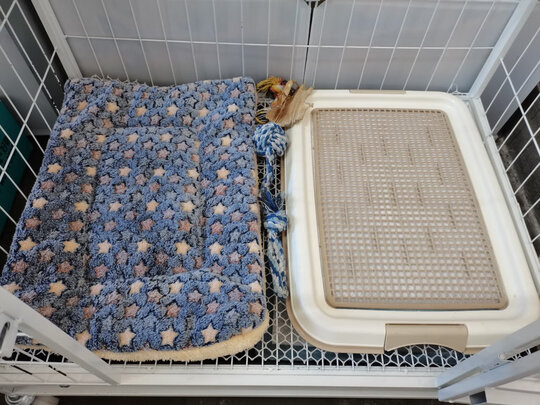 狗厕所