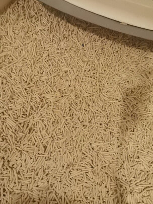 豆腐猫砂