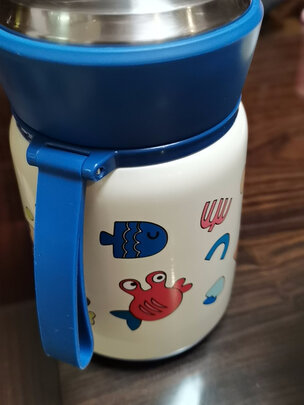 焖烧杯