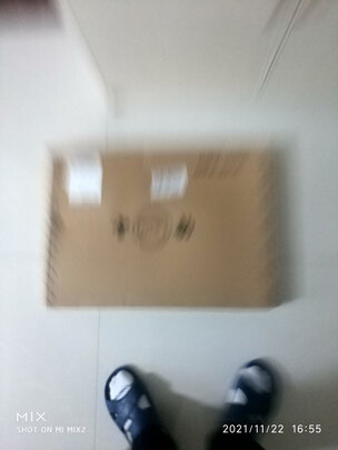碟子