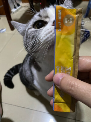 猫条猫零食