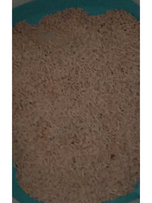 膨润土猫砂