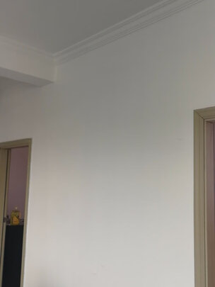 三棵树漆699006777乳胶漆|三棵树漆699006777乳胶漆真实使用感受？真相必看