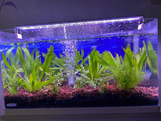 水草泥