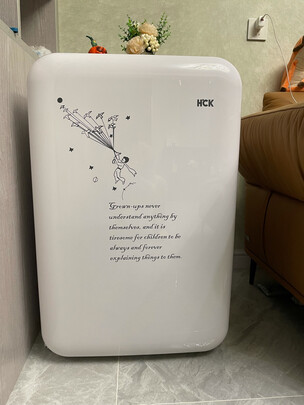 %title插图%num HCK哈士奇 130RDC 107升 复古单门小冰箱独立冷冻迷你冷藏小王子联名 冰冻浅黄