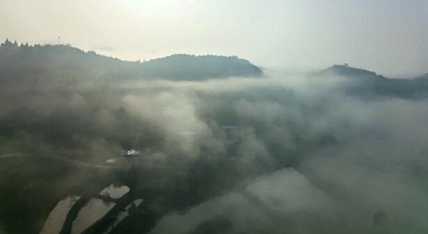 HQisQnse海迅商显会议平板电视55英寸教学会议一体机触控触摸电视教育培训显示屏Windows怎么样?质量测评好不好用?